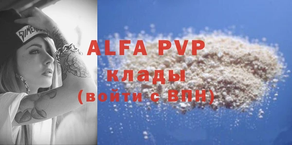 ешки Новозыбков