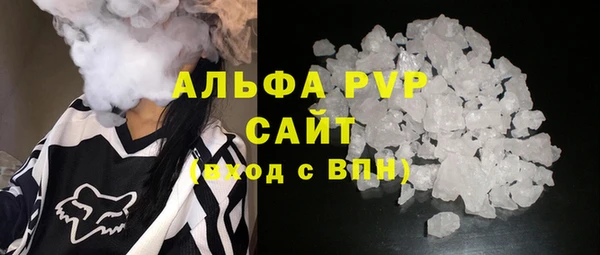 ешки Новозыбков
