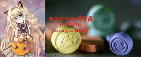 ешки Новозыбков