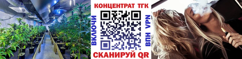 сколько стоит  Нововоронеж  Дистиллят ТГК гашишное масло 