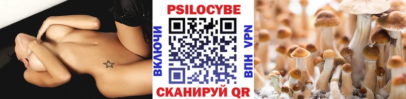 Галлюциногенные грибы Cubensis  Нововоронеж 