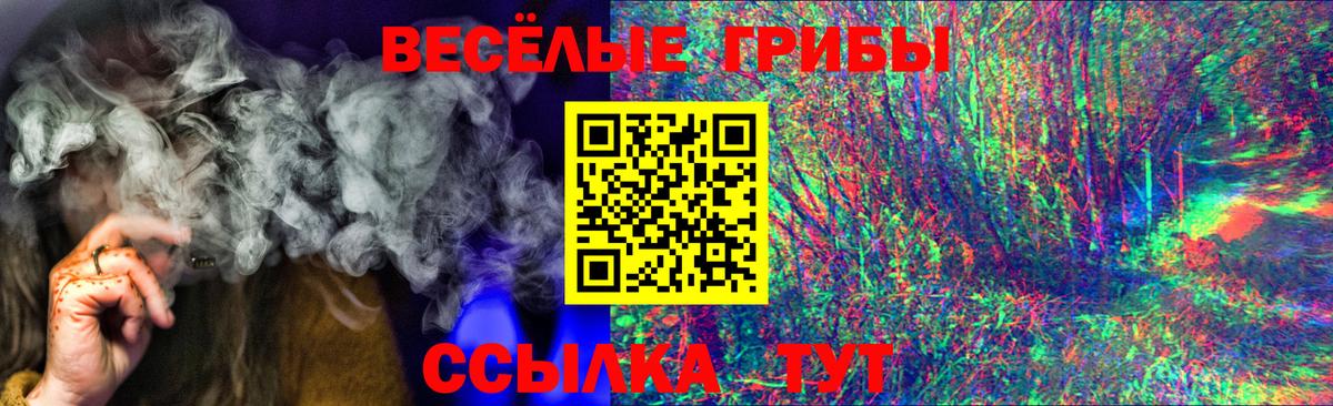 Псилоцибиновые грибы Cubensis  Вход с VPN  Нововоронеж 